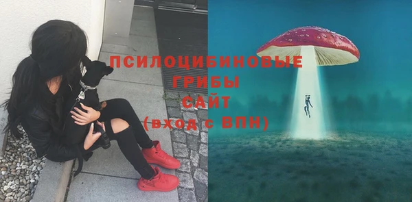 не бодяженный Кущёвская