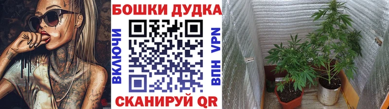 Конопля THC 21%  Алупка 